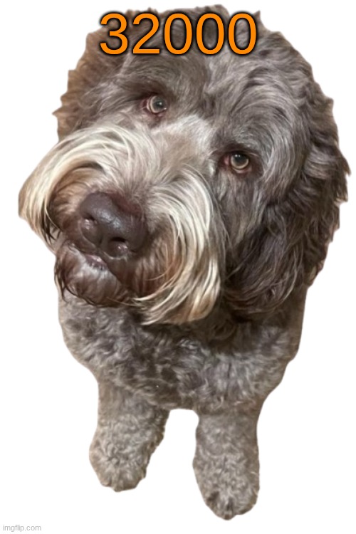 Northers Dog (Transparent) | 32000 | image tagged in northers dog transparent | made w/ Imgflip meme maker