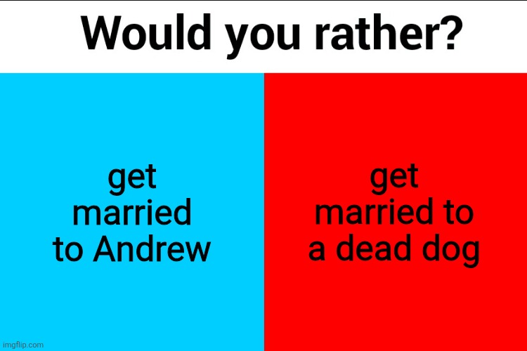 Would you rather? | get married to Andrew; get married to a dead dog | image tagged in would you rather | made w/ Imgflip meme maker