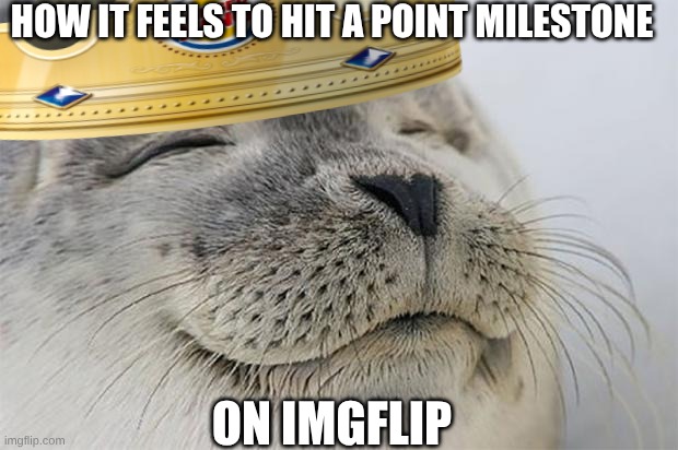 satisfied with success | HOW IT FEELS TO HIT A POINT MILESTONE; ON IMGFLIP | image tagged in memes,satisfied seal | made w/ Imgflip meme maker