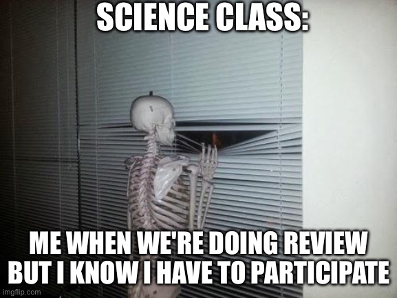 Skeleton Looking Out Window | SCIENCE CLASS:; ME WHEN WE'RE DOING REVIEW BUT I KNOW I HAVE TO PARTICIPATE | image tagged in skeleton looking out window | made w/ Imgflip meme maker