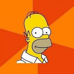 Homer orange Blank Meme Template