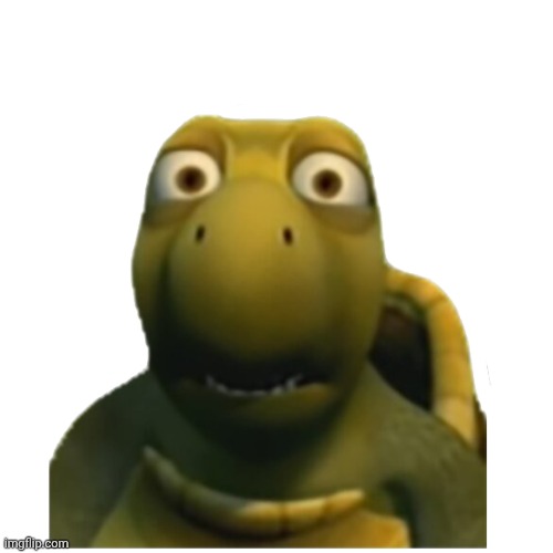 @Mewo THEY ARE WHAT | image tagged in huh | made w/ Imgflip meme maker