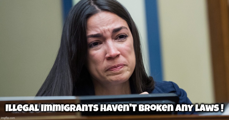 AOC CRYING | Illegal Immigrants haven't broken any laws ! | image tagged in aoc crying | made w/ Imgflip meme maker