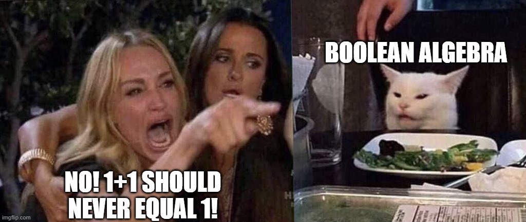 2 has left the chat | BOOLEAN ALGEBRA; NO! 1+1 SHOULD NEVER EQUAL 1! | image tagged in woman yelling at cat | made w/ Imgflip meme maker