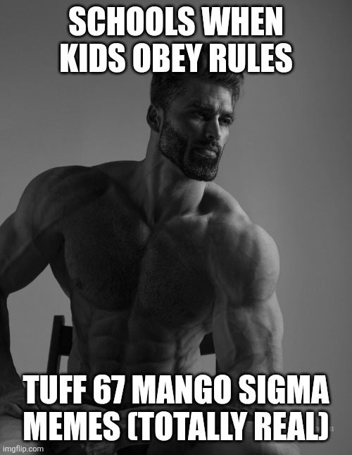 Giga Chad | SCHOOLS WHEN KIDS OBEY RULES TUFF 67 MANGO SIGMA MEMES (TOTALLY REAL) | image tagged in giga chad | made w/ Imgflip meme maker