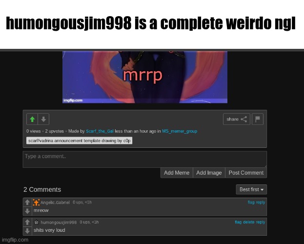 humongousjim998 is a complete weirdo ngl | made w/ Imgflip meme maker