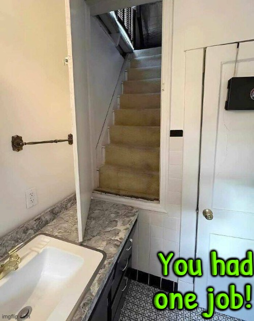 What in the world | You had one job! | image tagged in you had one job,duhhh dumbass,task failed successfully,fail army,design fails,epic fail | made w/ Imgflip meme maker