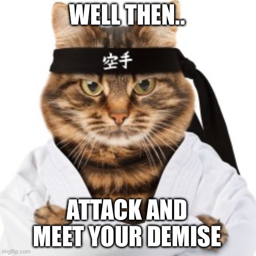 WELL THEN.. ATTACK AND MEET YOUR DEMISE | image tagged in karate cat | made w/ Imgflip meme maker