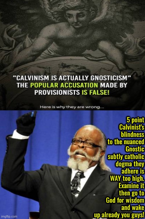 It's a nuanced Gnostic subtly catholic clever lie | 5 point Calvinist's blindness to the nuanced Gnostic subtly catholic dogma they adhere is WAY too high. Examine it then go to God for wisdom and wake up already you guys! | image tagged in too damn high,calvinism,calvinist memes,anti calvinism,reformed theology,nuanced gnostic corpse dogma | made w/ Imgflip meme maker