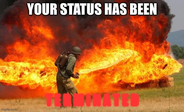 Nope flamethrower | YOUR STATUS HAS BEEN T E R M I N A T E D | image tagged in nope flamethrower | made w/ Imgflip meme maker