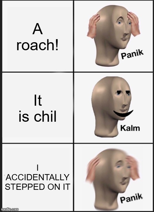 Panik Kalm Panik | A roach! It is chil; I ACCIDENTALLY STEPPED ON IT | image tagged in memes,panik kalm panik | made w/ Imgflip meme maker