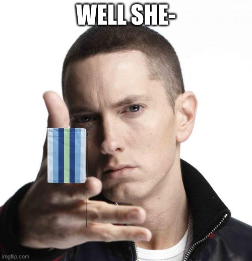 btw the flag is the boyflux flag- | WELL SHE- | image tagged in eminem video game logic | made w/ Imgflip meme maker