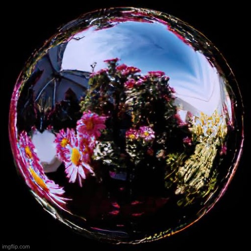 wow, what pretty flowers | made w/ Imgflip meme maker