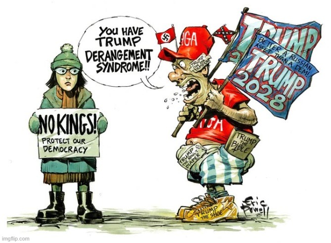 TDS | image tagged in donald trump | made w/ Imgflip meme maker