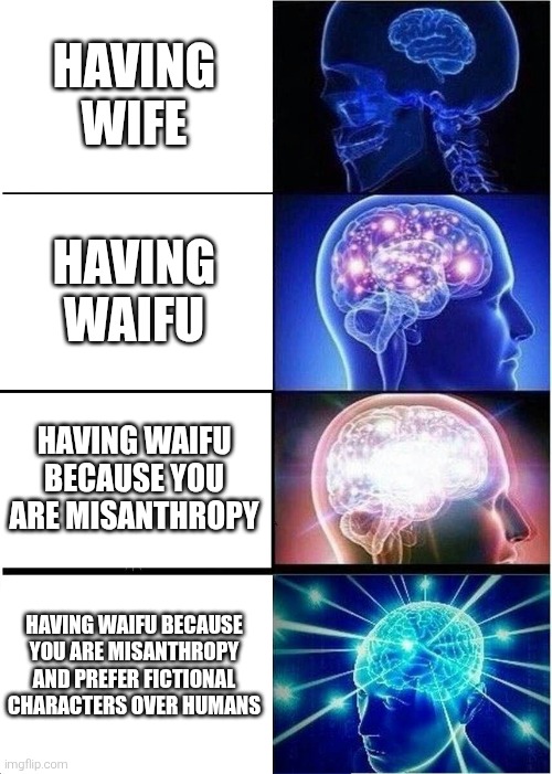 Literally me | HAVING WIFE; HAVING WAIFU; HAVING WAIFU BECAUSE YOU ARE MISANTHROPY; HAVING WAIFU BECAUSE YOU ARE MISANTHROPY AND PREFER FICTIONAL CHARACTERS OVER HUMANS | image tagged in memes,expanding brain,misanthropy,waifu,wife,fiction | made w/ Imgflip meme maker