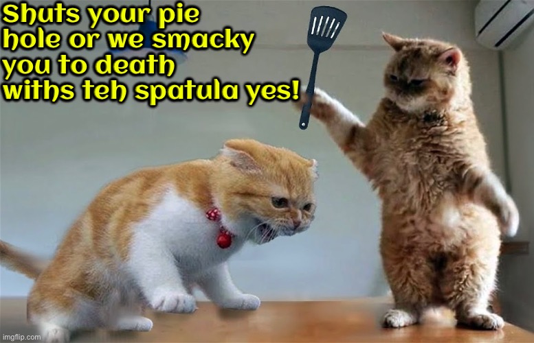Smacky You To Death | Shuts your pie hole or we smacky you to death withs teh spatula yes! | image tagged in cats,funny cats,angry cat,smack,shut up,beating | made w/ Imgflip meme maker