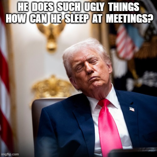How? | HE  DOES  SUCH  UGLY  THINGS  HOW  CAN  HE  SLEEP  AT  MEETINGS? | image tagged in sleepy guy | made w/ Imgflip meme maker