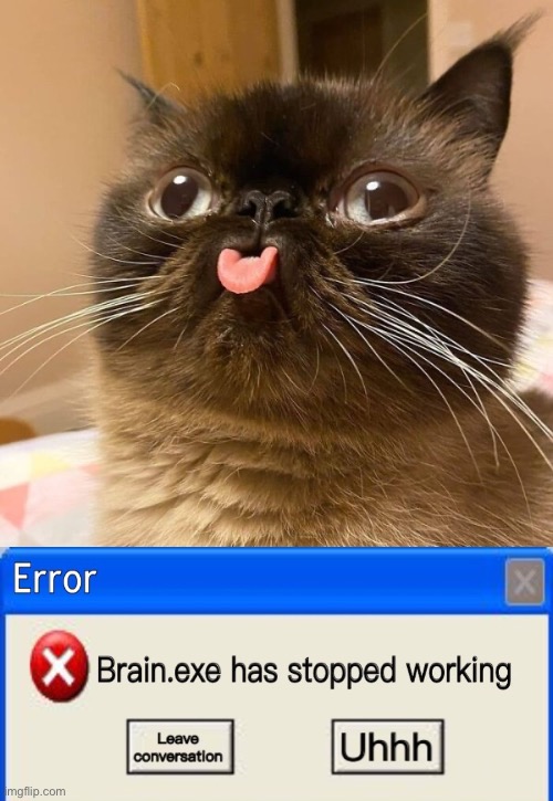 Brain.exe Cat | image tagged in cats,funny cats,error,duhhh dumbass,facial expressions,tongue | made w/ Imgflip meme maker