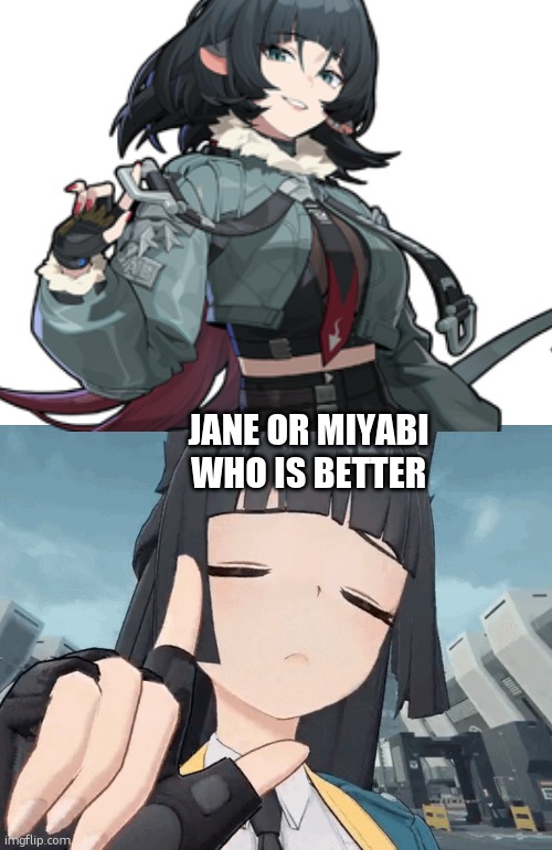 Miyabi nooos | JANE OR MIYABI WHO IS BETTER | image tagged in miyabi nooos | made w/ Imgflip meme maker