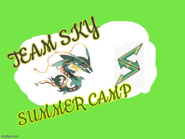 Thier we are now is anyone interested? Has to be a human trainer and if doesn't have a starter u get a random flying type | made w/ Imgflip meme maker