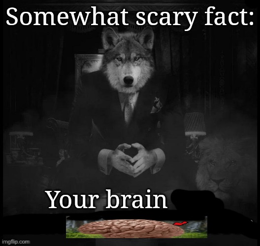 somewhat scary fact | image tagged in somewhat scary fact | made w/ Imgflip meme maker