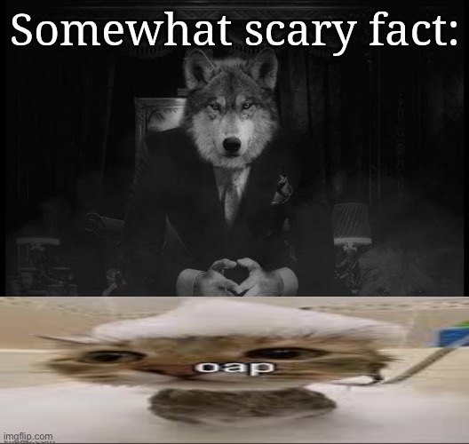 somewhat scary fact | image tagged in somewhat scary fact | made w/ Imgflip meme maker