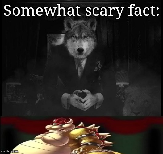 could u repeat that? | image tagged in somewhat scary fact | made w/ Imgflip meme maker