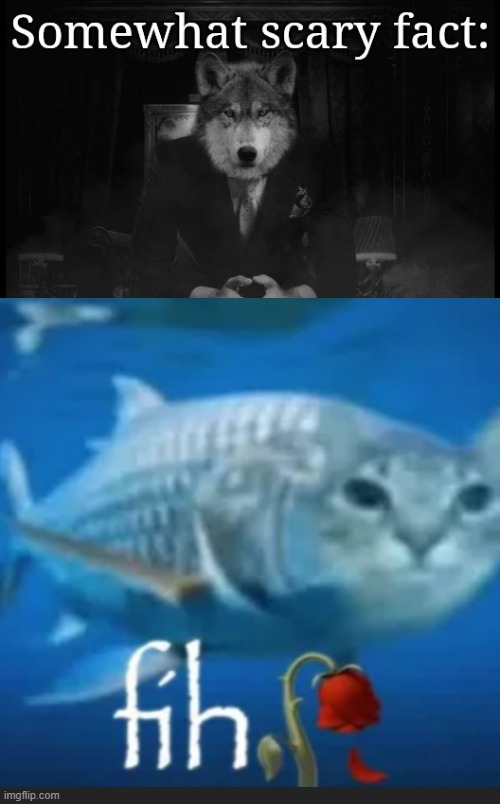 somewhat scary fact | image tagged in somewhat scary fact | made w/ Imgflip meme maker