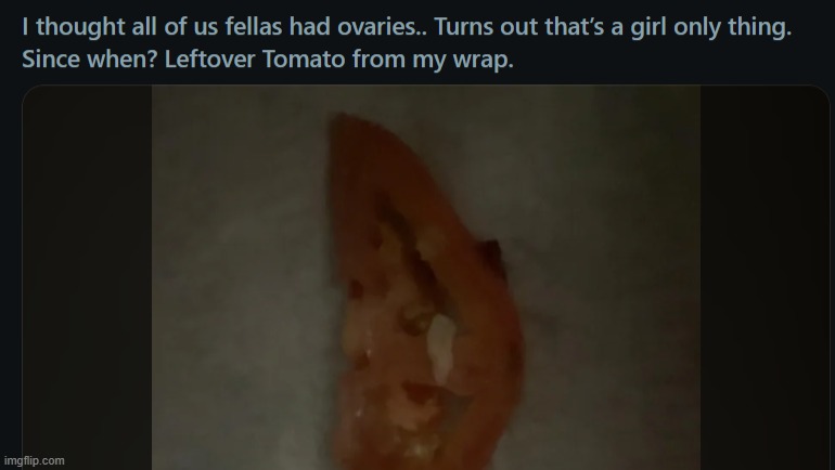 reddit really is a human zoo | made w/ Imgflip meme maker