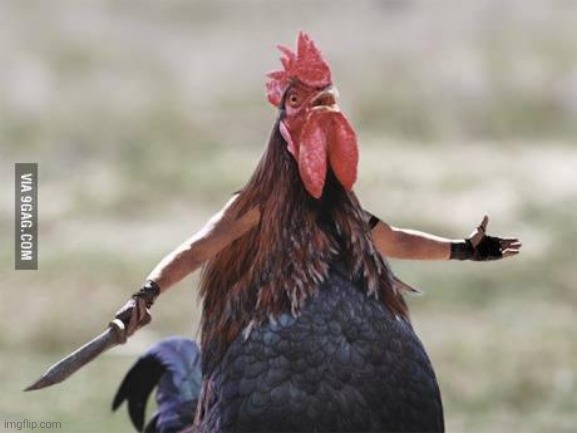 Come at me chicken | image tagged in come at me chicken | made w/ Imgflip meme maker