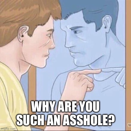 Pointing mirror guy | WHY ARE YOU SUCH AN ASSHOLE? | image tagged in pointing mirror guy | made w/ Imgflip meme maker