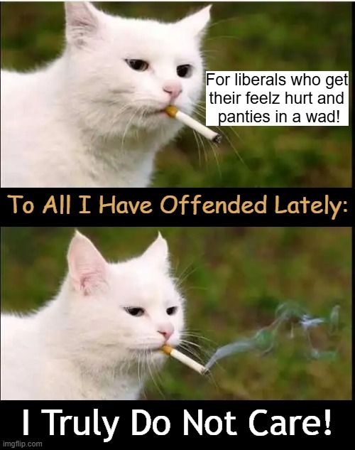 A meme for whiny, complaining, ungrateful leftists | I Truly Do Not Care! | image tagged in for your liberal friends,offended,offensive,politically correct,virtue signalling,liberalism is a mental disorder | made w/ Imgflip meme maker