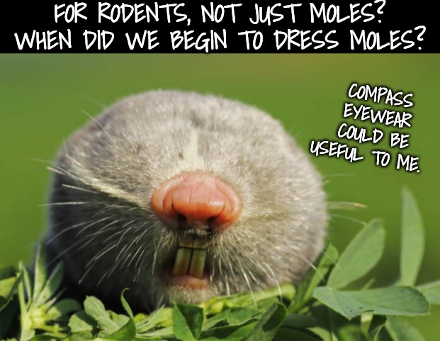 FOR RODENTS, NOT JUST MOLES? WHEN DID WE BEGIN TO DRESS MOLES? COMPASS EYEWEAR COULD BE USEFUL TO ME. | made w/ Imgflip meme maker