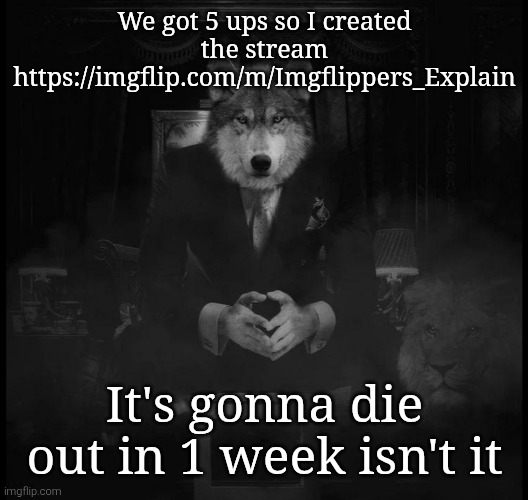 Wolf on a chair | We got 5 ups so I created the stream
https://imgflip.com/m/Imgflippers_Explain; It's gonna die out in 1 week isn't it | image tagged in wolf on a chair | made w/ Imgflip meme maker