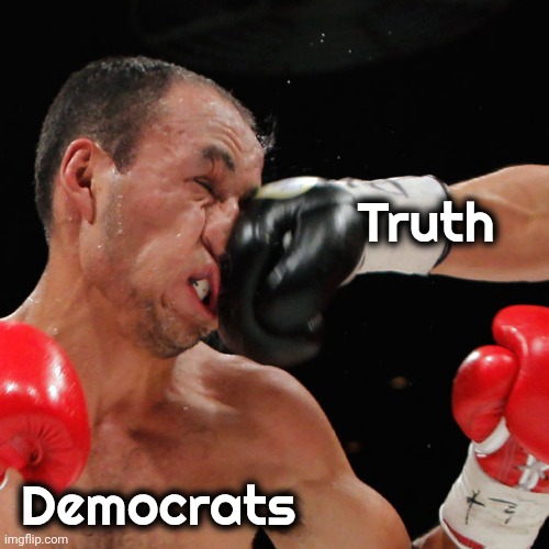 Boxer Getting Punched In The Face | Truth Democrats | image tagged in boxer getting punched in the face | made w/ Imgflip meme maker