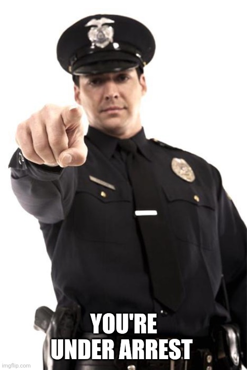 Police | YOU'RE UNDER ARREST | image tagged in police | made w/ Imgflip meme maker