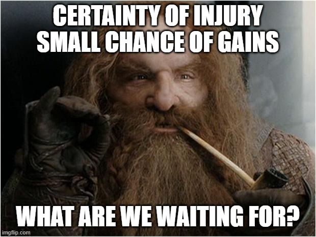 Gimli | CERTAINTY OF INJURY
SMALL CHANCE OF GAINS; WHAT ARE WE WAITING FOR? | image tagged in gimli | made w/ Imgflip meme maker