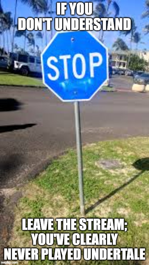 You need to know | IF YOU DON'T UNDERSTAND; LEAVE THE STREAM; YOU'VE CLEARLY NEVER PLAYED UNDERTALE | image tagged in undertale | made w/ Imgflip meme maker