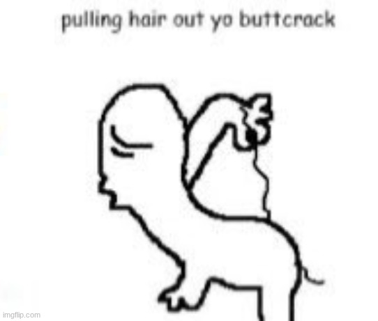 idk why the fuck I find this image so goddamn funny | image tagged in pulling hair out yo buttcrack | made w/ Imgflip meme maker