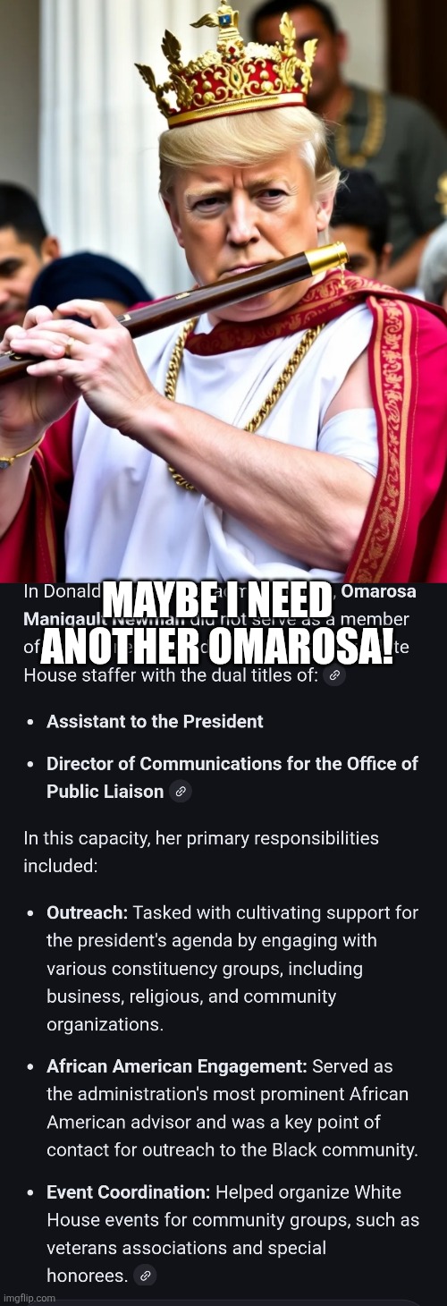 Remember when? No? | MAYBE I NEED ANOTHER OMAROSA! | image tagged in king flute | made w/ Imgflip meme maker