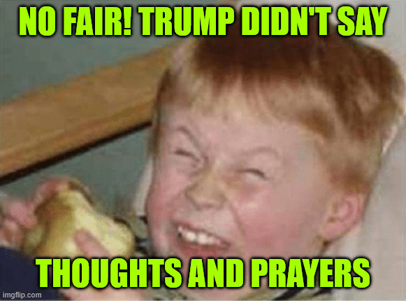 Libs triggered again by Trump | NO FAIR! TRUMP DIDN'T SAY; THOUGHTS AND PRAYERS | image tagged in triggered libs,trump said something | made w/ Imgflip meme maker