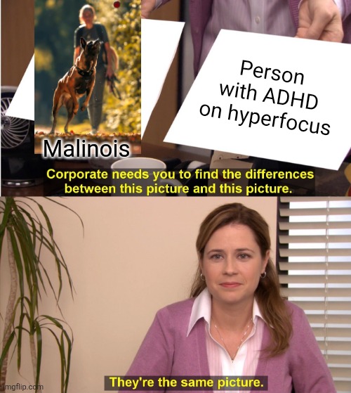 ADHD | Person with ADHD on hyperfocus; Malinois | image tagged in memes,they're the same picture,hyperfocus,adhd,personality,psychology | made w/ Imgflip meme maker