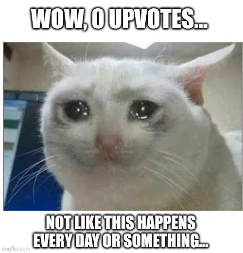 Title. Be happy. | WOW, 0 UPVOTES... NOT LIKE THIS HAPPENS EVERY DAY OR SOMETHING... | image tagged in crying cat,upvotes,every day | made w/ Imgflip meme maker