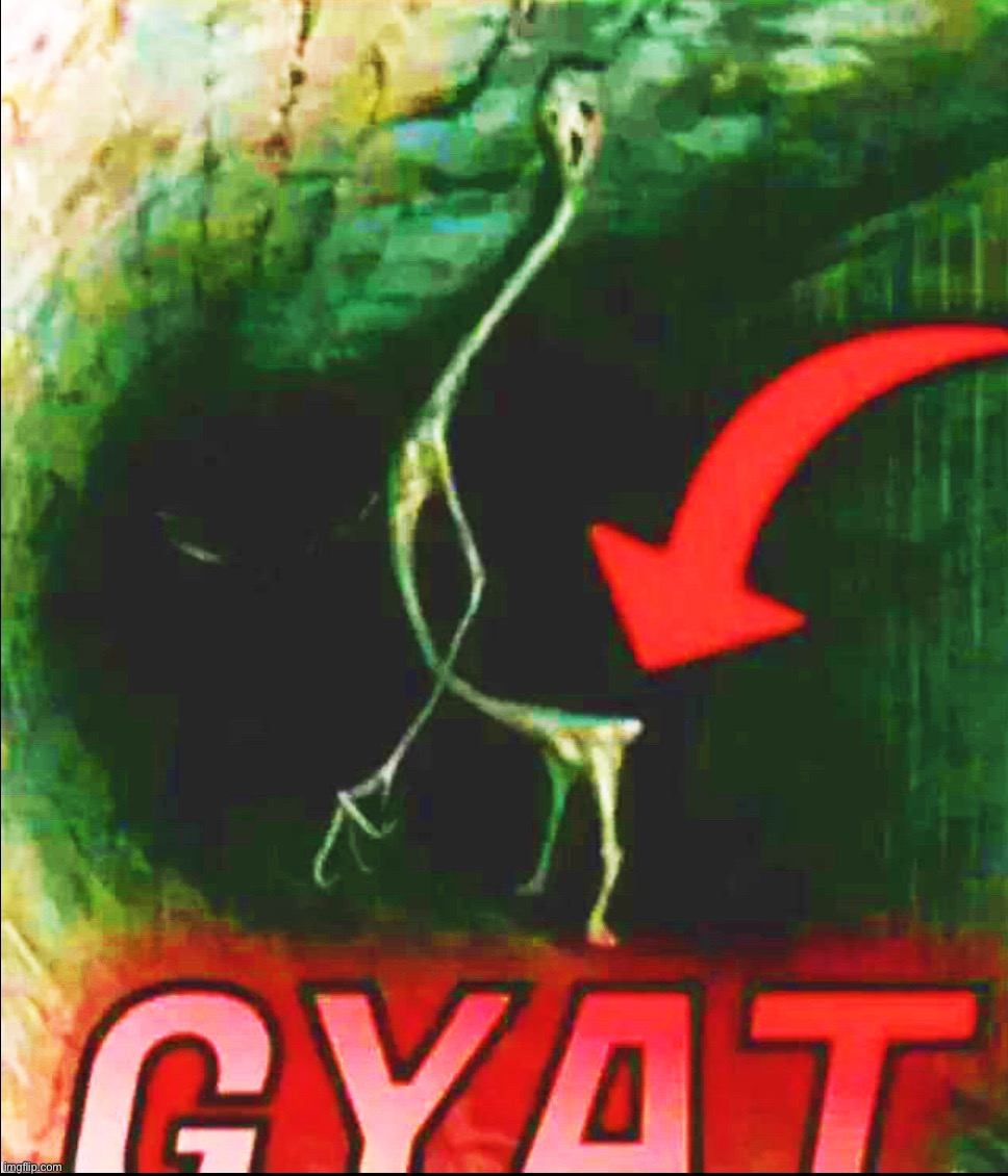 has; | made w/ Imgflip meme maker