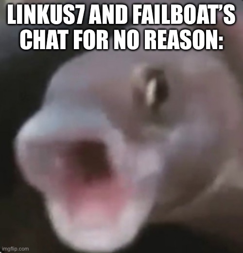 Poggers Fish | LINKUS7 AND FAILBOAT’S CHAT FOR NO REASON: | image tagged in poggers fish | made w/ Imgflip meme maker