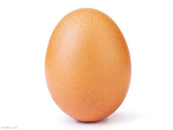 Egg. | image tagged in egg | made w/ Imgflip meme maker