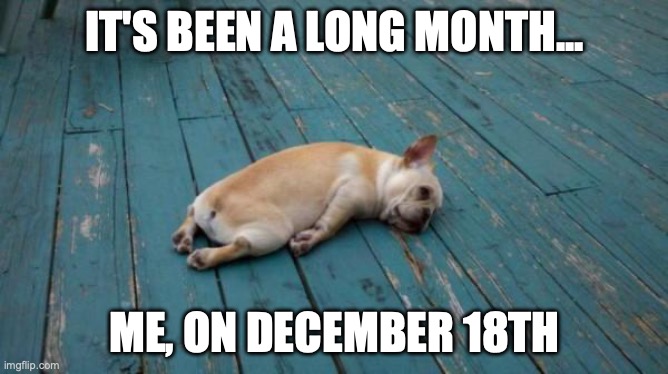 ready for the holidays | IT'S BEEN A LONG MONTH... ME, ON DECEMBER 18TH | image tagged in tired dog | made w/ Imgflip meme maker