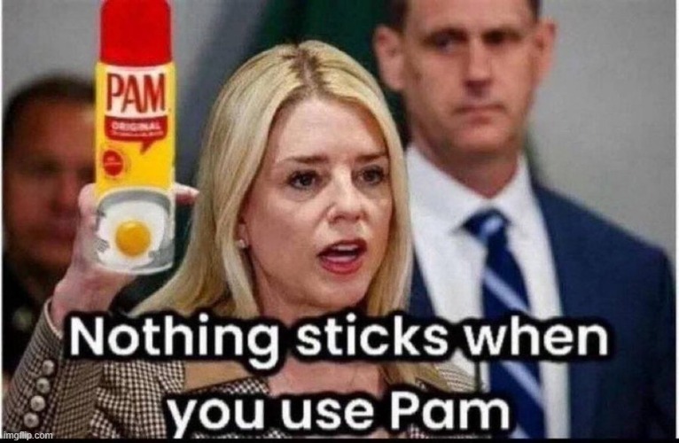 Prosecute the Perps, Pam....NOW! | image tagged in pam bondi,doj,punishment,action | made w/ Imgflip meme maker