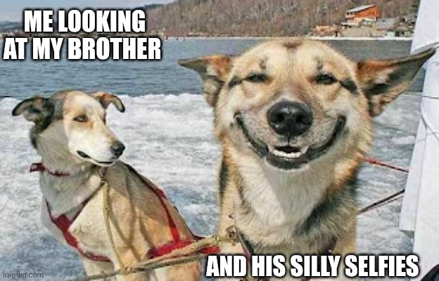Original Stoner Dog | ME LOOKING AT MY BROTHER; AND HIS SILLY SELFIES | image tagged in memes,original stoner dog | made w/ Imgflip meme maker