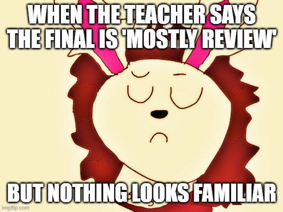 Eliza The Rabbit Not Impressed | WHEN THE TEACHER SAYS THE FINAL IS 'MOSTLY REVIEW'; BUT NOTHING LOOKS FAMILIAR | image tagged in eliza the rabbit not impressed | made w/ Imgflip meme maker